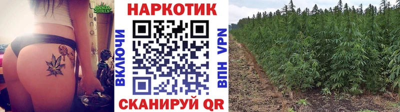 Купить Альфа ПВП  МЕФ  Галлюциногенные грибы  КОКАИН  ГАШ  Светлоград