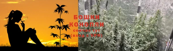 ГАЛЛЮЦИНОГЕННЫЕ ГРИБЫ Каменка