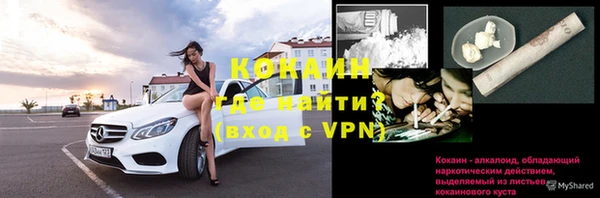 ГАЛЛЮЦИНОГЕННЫЕ ГРИБЫ Каменка