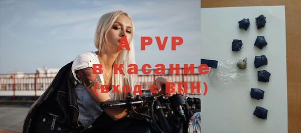 ГАЛЛЮЦИНОГЕННЫЕ ГРИБЫ Каменка