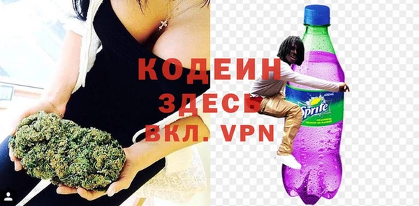 ГАЛЛЮЦИНОГЕННЫЕ ГРИБЫ Каменка