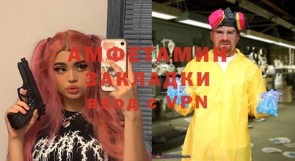 ГАЛЛЮЦИНОГЕННЫЕ ГРИБЫ Каменка