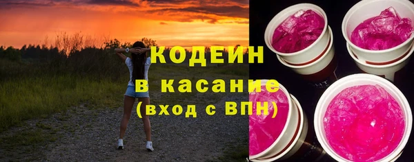 ГАЛЛЮЦИНОГЕННЫЕ ГРИБЫ Каменка