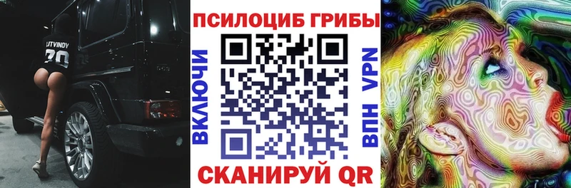Купить где  Светлоград  Псилоцибиновые грибы ЛСД 